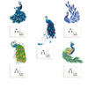 Colourful Peacock - Decorative Wall Sticker Combo Pack for Switch Panel Board, Laptop, Fridge.Decorative Sticker Combo Pack for Switch Panel Board, Laptop, Fridge (Vinyl, Multicolour - Set Of 5)