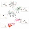 Nature - Tree - Birds - Cage - Colorful - Decorative Wall Sticker Combo Pack For Switch Panel Board, Laptop, Fridge.Decorative Sticker Combo Pack for Switch Panel Board, Laptop, Fridge (Vinyl, Multicolour - Set Of 5)