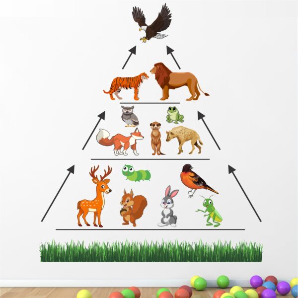 Food Chains - Animal - Birds - Baby -Kids - Learning - Education  Nursery  Pre School Kinder Garden Wall Sticker - Image 2