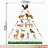 Food Chains - Animal - Birds - Baby -Kids - Learning - Education  Nursery  Pre School Kinder Garden Wall Sticker - Image 3