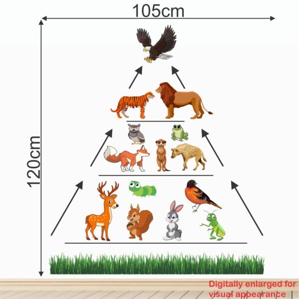 Food Chains - Animal - Birds - Baby -Kids - Learning - Education  Nursery  Pre School Kinder Garden Wall Sticker - Image 3