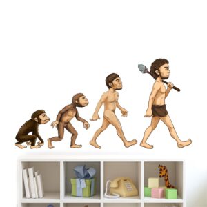 Monkey - Monkey Evolution - Wall Sticker