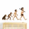 Monkey - Monkey Evolution - Wall Sticker - Image 2