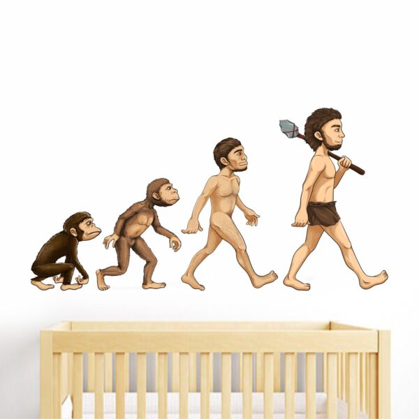 Monkey - Monkey Evolution - Wall Sticker - Image 2