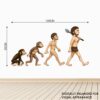 Monkey - Monkey Evolution - Wall Sticker - Image 3