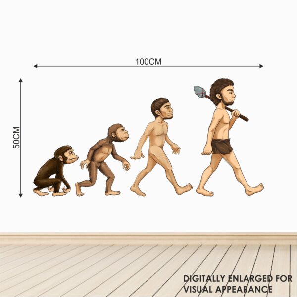 Monkey - Monkey Evolution - Wall Sticker - Image 3