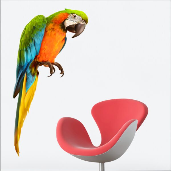 Awesome Parrot Bird Wall Sticker