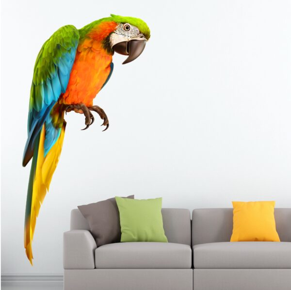 Awesome Parrot Bird Wall Sticker