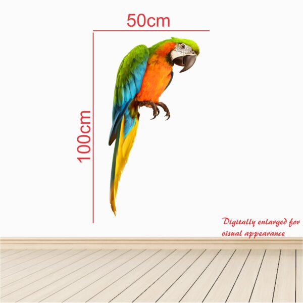 Awesome Parrot Bird Wall Sticker