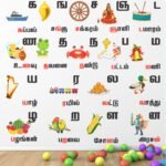 Tamil - Uyirmei Eluthukkal - Vowels - Alphabets - Letters - Baby - Kids - Learning Education  Nursery  Pre School Kinder Garden Wall Sticker